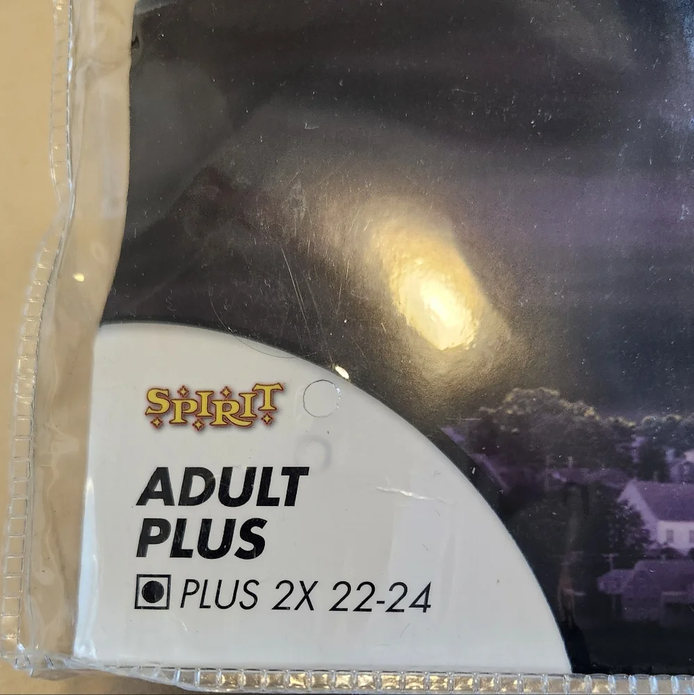 Disney Hocus Pocus Costume  2X Winnie Sanderson - Picture 12 of 12